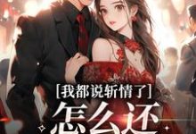 完结版《我都说斩情了,怎么还让我相亲》章节目录在线阅读-个性文学