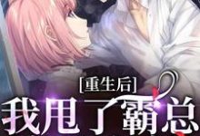 重生后，我甩了霸总享单身夜这本小说在哪里可以看？哪里有免费试读章节？-个性文学