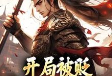 开局被贬，我要掠夺江山小说的免费电子版在哪里可以下载或阅读？-个性文学