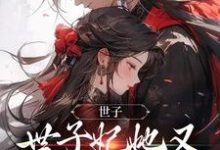 已完结小说《世子，世子妃她又开始扮可怜了》在线章节阅读-个性文学