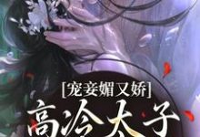 《宠妾媚又娇,高冷太子为她失了魂》小说大结局免费试读 宁宁萧璲小说-个性文学