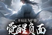 完结版《开局沦为炉鼎,觉醒负面逆转系统》章节阅读-个性文学