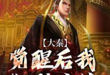 嬴稷小说大秦:觉醒后我狂刷业绩,惊呆嬴政在线阅读-个性文学