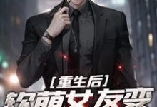 小说《重生后，软萌女友变霸气总裁》章节免费阅读-个性文学