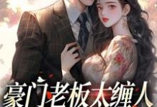 豪门老板太缠人，为她折腰为她疯小说最新章节在哪里可以读到？-个性文学