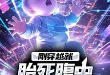 已完结小说《刚穿越就胎死腹中，我化身诡婴》章节在线阅读-个性文学