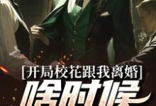 哪里可以免费找到开局校花跟我离婚,啥时候结的婚??-个性文学