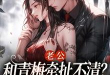 在线免费阅读老公和青梅牵扯不清?我放你自由!完整小说-个性文学