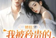 糟糕!我被矜贵的大小姐缠上了沈南意谢霄北,糟糕!我被矜贵的大小姐缠上了小说免费阅读-个性文学