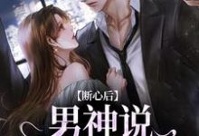 免费看断心后,男神说他又上头了小说的网站有哪些?-个性文学