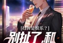 求打牌是娱乐？别扯了，和打仗差不多小说免费资源-个性文学