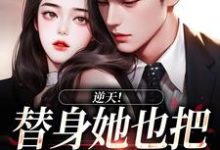 逆天!替身她也把总裁当替身小说免费资源,逆天!替身她也把总裁当替身在线阅读-个性文学