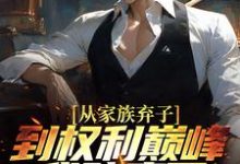 免费看从家族弃子到权利巅峰,我赌赢了小说的网站有哪些?-个性文学