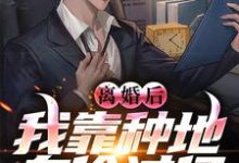 完结版《离婚后，我靠种地身价过亿》免费阅读-个性文学