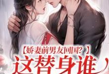 娇妻前男友回国？这替身谁爱当谁当王逸风，娇妻前男友回国？这替身谁爱当谁当最新章节-个性文学