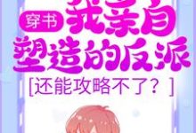 穿书：我亲自塑造的反派，还能攻略不了？小说完结版章节免费阅读-个性文学