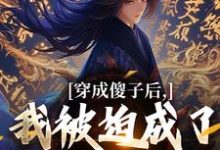 穿成傻子后，我被迫成了极品权臣小说有没有完整的免费版本在线阅读？-个性文学