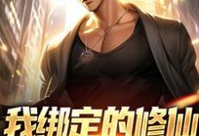 我绑定的修仙系统有点癫小说有没有完结版在线?-个性文学