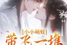 小小萌娃,带飞一堆隐世大能小说完结版章节免费阅读-个性文学
