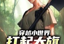 穿越小世界,扛起大旗就是干(刘念安李淑兰)在线免费阅读-个性文学