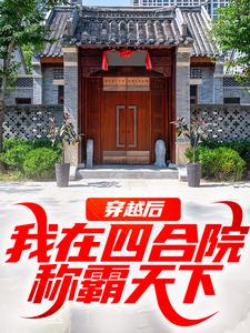 何雨柱小说在线章节免费阅读（穿越后，我在四合院称霸天下无弹窗无删减）