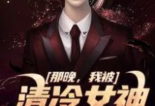 求那晚，我被清冷女神强吻了小说的全文免费阅读链接-个性文学