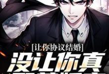 小说《让你协议结婚,没让你真娶美娇妻》章节阅读-个性文学