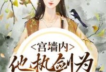 已完结小说《宫墙内,他执剑为我杀出血路》章节免费阅读-个性文学