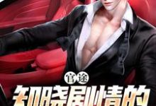 完整版的官途：知晓剧情的我无敌了小说在哪里可以免费读到？-个性文学