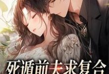 免费在线阅读死遁前夫求复合，再婚老公红了眼小说的正规网站有哪些？-个性文学