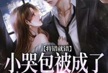 求推荐可以免费阅读将错就错：小哭包被成了大佬心尖宠小说的网站-个性文学