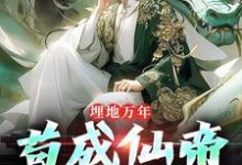 埋地万年,苟成仙帝再出山这本小说完结了吗?免费查看最新章节-个性文学