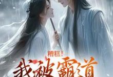 糟糕！我被霸道王爷缠上了最新章节，糟糕！我被霸道王爷缠上了免费阅读-个性文学