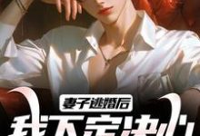 妻子逃婚后，我下定决心选了她小说阅读，妻子逃婚后，我下定决心选了她完结版-个性文学