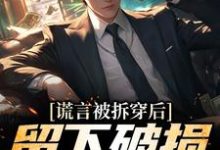 张齐赵雪小说叫什么（谎言被拆穿后，留下破损的婚姻免费阅读）-个性文学