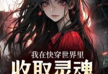 我在快穿世界里,收取灵魂当报酬小说的免费阅读版本在哪里可以找到?-个性文学