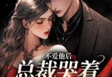 《不爱他后,总裁哭着求我收留》小说云里江时聿章节章节免费在线阅读-个性文学