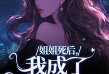 完结版《姐姐死后，我成了争夺礼品》免费阅读-个性文学