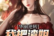 宋萧然江夜小说华丽逆转,我把渣姐虐到残在线阅读-个性文学