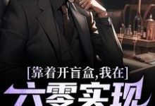 靠着开盲盒，我在六零实现财富自由小说，靠着开盲盒，我在六零实现财富自由在线阅读-个性文学