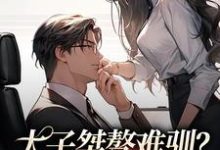 盛时庭宋阮倾小说完结版在线阅读，太子桀骜难驯？千金把他训乖了免费看-个性文学