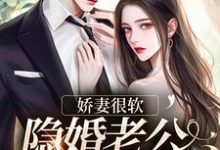 娇妻很软：隐婚老公已沦陷舒默江凌勋小说在线章节目录阅读最新章节-个性文学