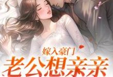 宋颜沈淮小说嫁入豪门，老公想亲亲就先虐渣章节免费阅读-个性文学