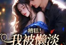 糟糕!我被懒淡拽哥缠上了小说最新更新在哪里?免费在线看-个性文学