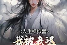 白棋小说人生模拟器：我被老婆逼成世间极境在线阅读-个性文学