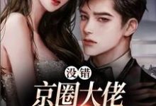 求没错，京圈大佬就是没她不行小说免费资源-个性文学