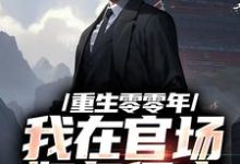 重生零零年:我在官场如鱼得水小说,重生零零年:我在官场如鱼得水在线阅读-个性文学