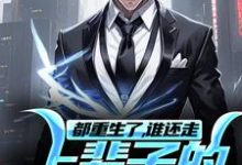 都重生了，谁还走上辈子的老路呢？小说的无弹窗阅读体验，寻找免费阅读网站-个性文学