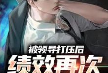 小说《被领导打压后,绩效再次被清零!》章节免费阅读-个性文学