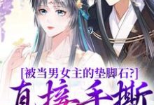 《被当男女主的垫脚石?直接手撕剧本》小说云子娆墨苍澜章节章节免费在线阅读-个性文学